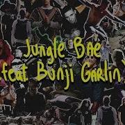 Jungle Bae Feat Bunji Garlin Skrillex Diplo