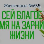 Сей Благое Семя На Зарнице Жизни
