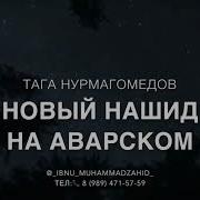 Тага Нурмагомедов