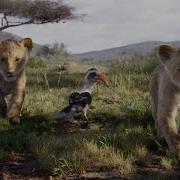 Lion King 2019 L Just Can T Wait To Be King