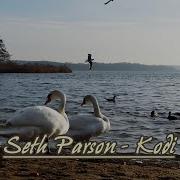 Kodi Seth Parson