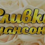 Сливки Сборник