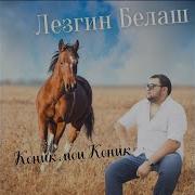 Коник Мои Коник Красивая Грива Продам Тебя Коник За Мелкие Гроши