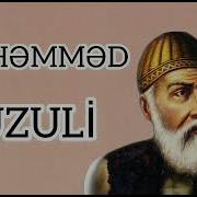 Fizuli Qəzəllər