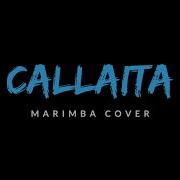 Callaita Marimba Cover