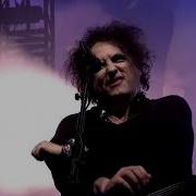 The Cure Live