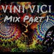 Vini Vici Bass