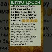 Шифо Дуолар