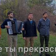 Братья Михайловы