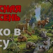 Красная Плесень Тихо В Лесу