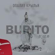 Burito Опалив Крылья