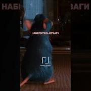 Наберитесь Отваги Пробуйте Экспериментируйте