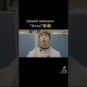 Довай Заведём Кота
