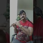 Indian Song Pyar Hua Ikrar Hua Hai Flute Cover