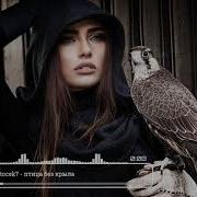 Cvetocek7 Птица Без Крыла