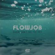 Flowjob Divers Don T See The Sky