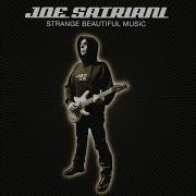 Joe Satriani Starry Night