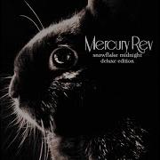 Senses On Fire Fujiya Miyagi Remix Mercury Rev