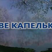 Сергей Шевченко Песня Две Капельки