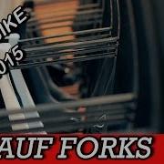 Fork Fat Worlds