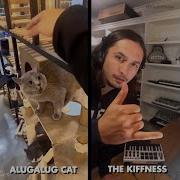 Alugalug Cat The Kiffness