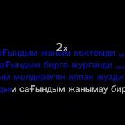 Сагындым Жаным Коктемди