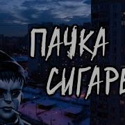 Рома Пятифан Пачка Сигарет