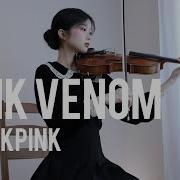 Pink Venom Violin Cover