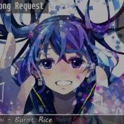 Nightcore Burnt Rice