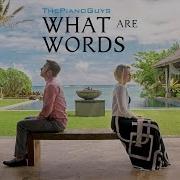 What Are Words Ft Peter Evynne Hollens The Piano Guys