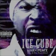 Supreme Hustle Ice Cube