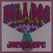She Knows Jackalope