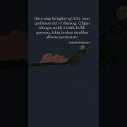 Бировни Кунглини Огритиш