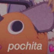 Pochita