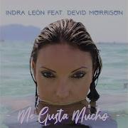 Devid Morrison Me Gusta Mucho Feat Devid Morrison Instrumental