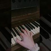 Челеста Гарри Поттер