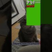 Ты Будишь Только Моей У Тебя Нету Выбора