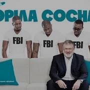 Процишин Горіла Сосна