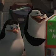 Penguins Christmas