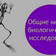 Методы Биолгических Иследований