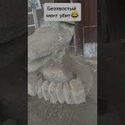 Звонок На Радио