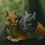 Коты Воители Я Не Сплю Я Живой