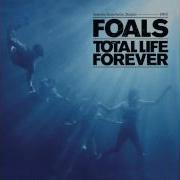 Foals Miami