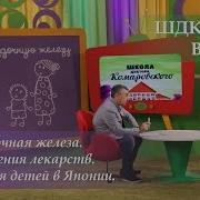 Шдк Поджелудочная