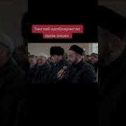 Тиловат Килишни Урганиш