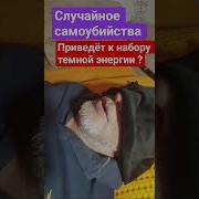 Лаборатория Гипноза