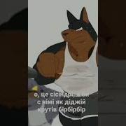 О Це Сiciндрi Я Би С Нiмi Як Дiджiй Крутiв Бiрбiрбiр