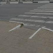 Клуб Исследователей Полярных Медведей