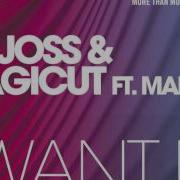 Dj Joss I Want U