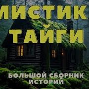 Реальные Истории Про Тайгу